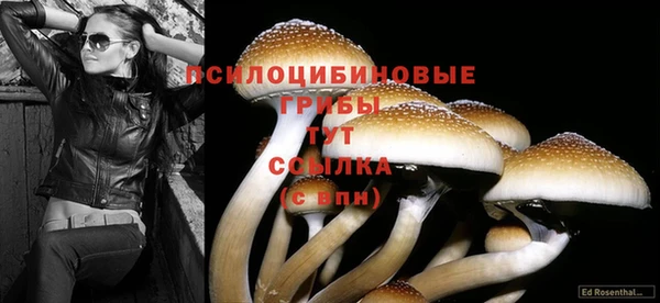 прущая мука Ветлуга