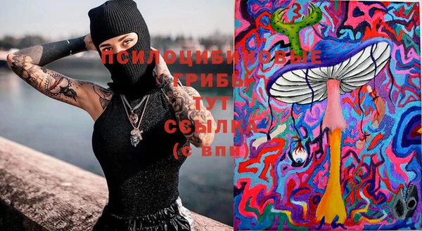 ПСИЛОЦИБИНОВЫЕ ГРИБЫ Абинск