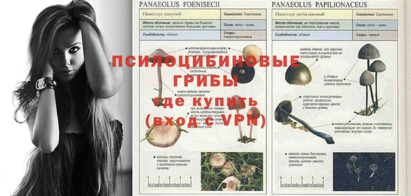мет Абдулино